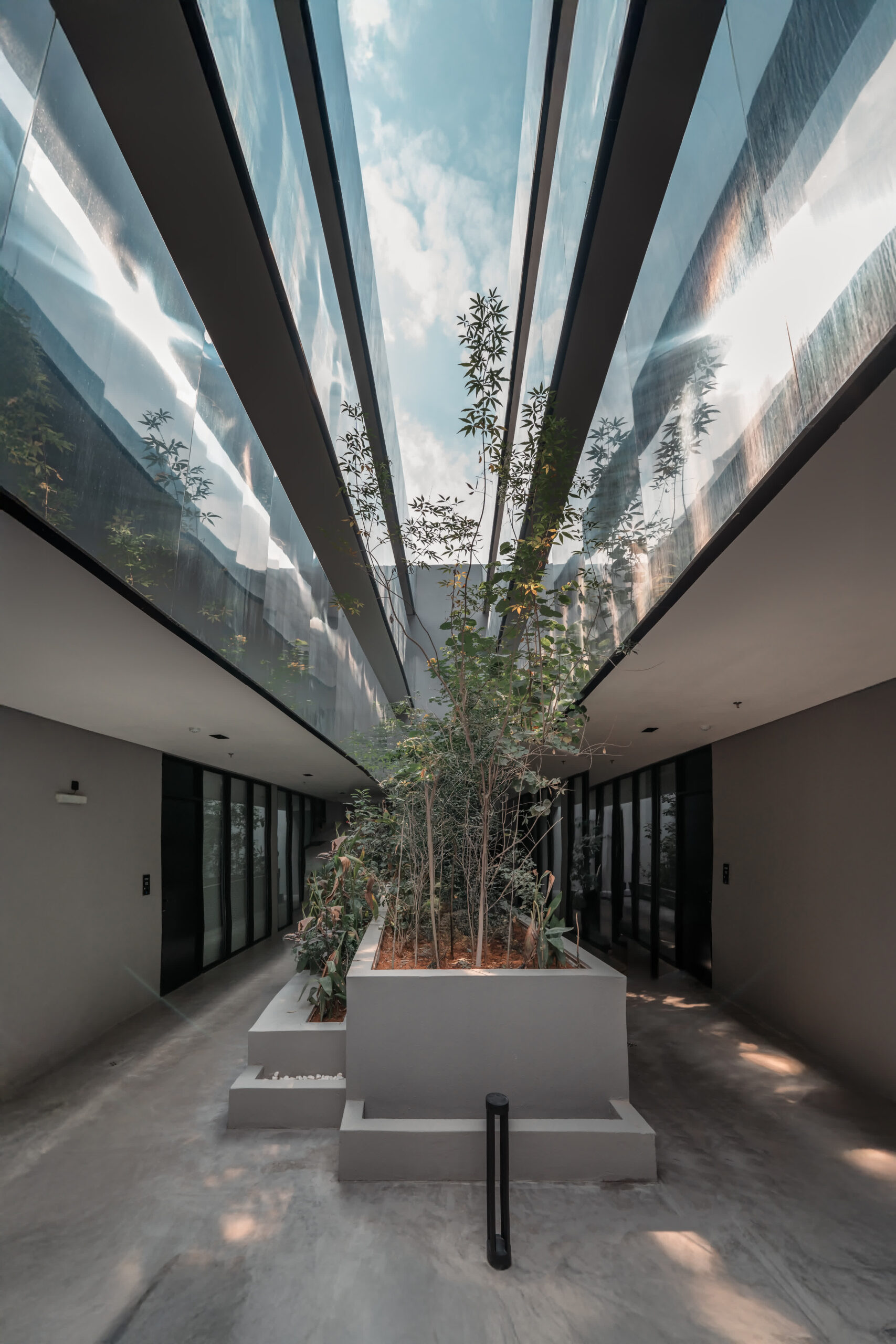 Gallery 3
